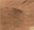 b19_0_0.png