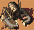 b24.png