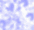 t13.gif