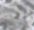 t14.gif