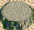 t7.gif