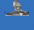 p671_2.gif