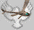 p698_1.gif