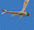 p698_2.gif