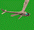 p698_5.gif