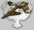 p722_1.gif